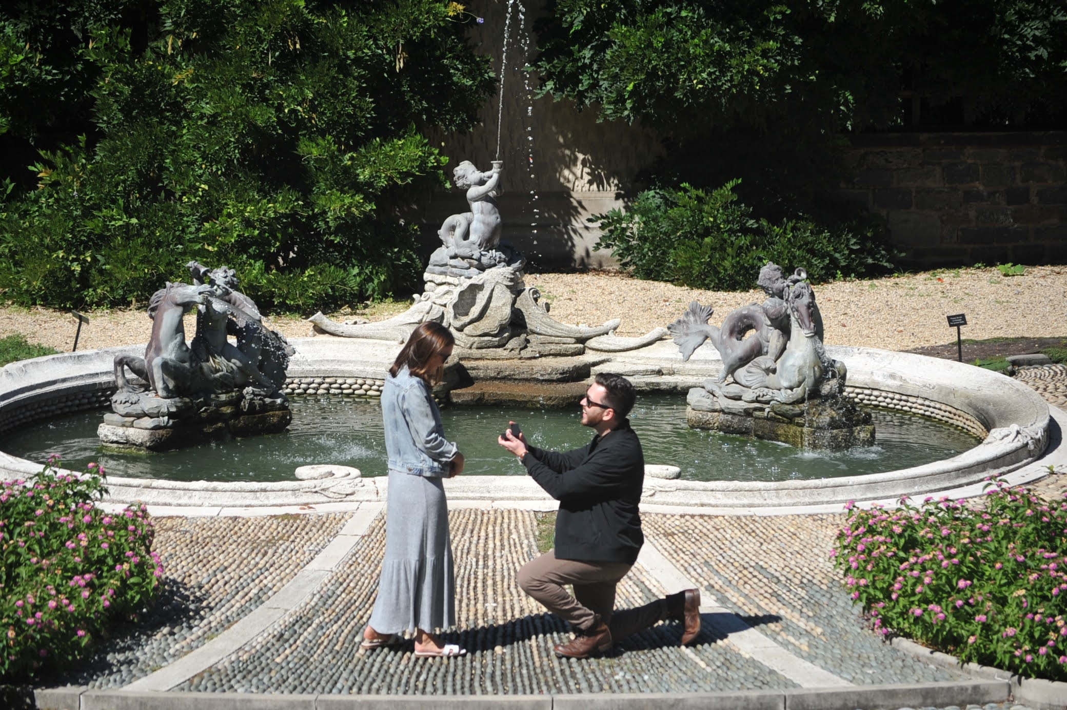 Engagement Pic